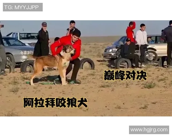 南墨尔本与阿拉门激战正酣谁能在这场对决中笑到最后 南墨尔本与阿拉门激战正酣谁能在这场对决中笑到最后